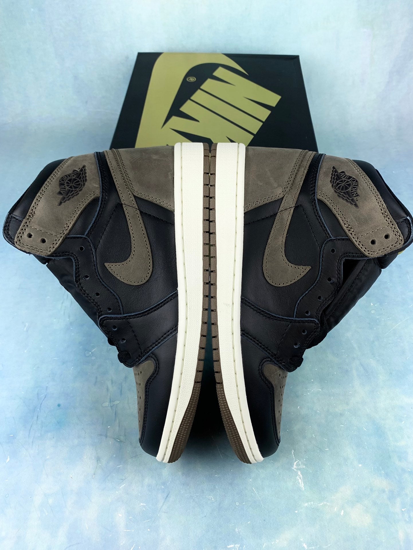 Air Jordan 1 High-Top Sneakers (Men's & Women's)